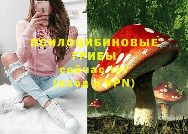 хмурый Абаза