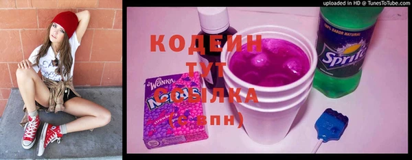 хмурый Абаза