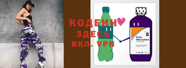 хмурый Абаза