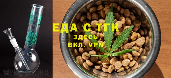 хмурый Абаза