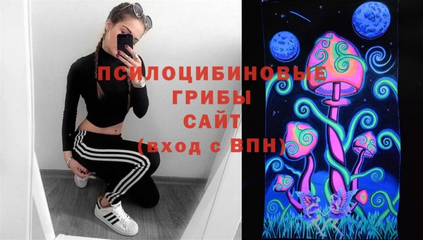 хмурый Абаза