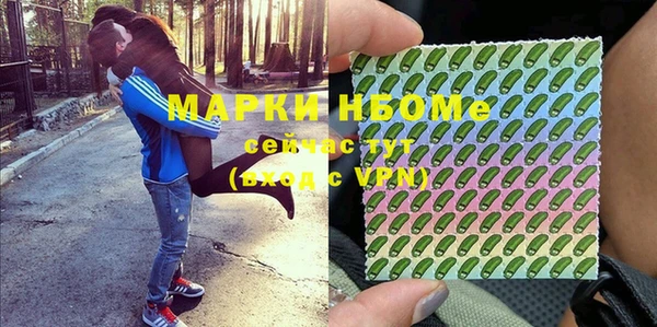 хмурый Абаза