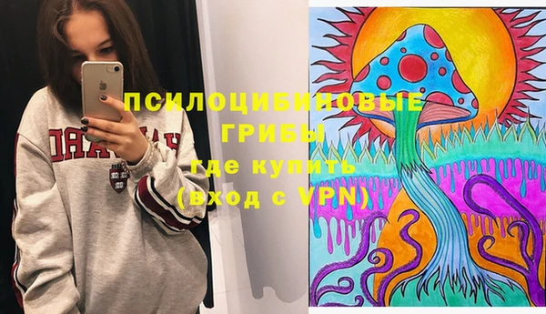 МДПВ Абинск