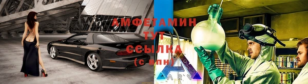 хмурый Абаза